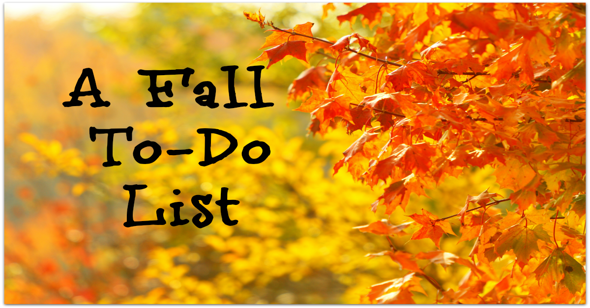 A Fall To-Do List via http://www.thegoodmama.org