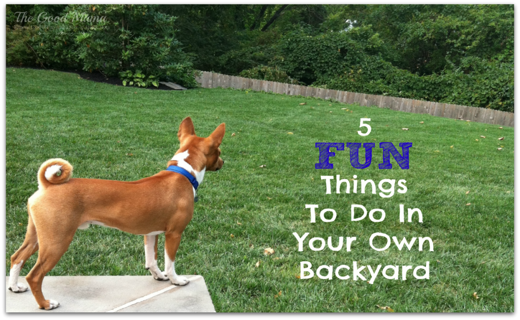 5 Fun Things To Do in Your Own Backyard via http://www.thegoodmama.org
