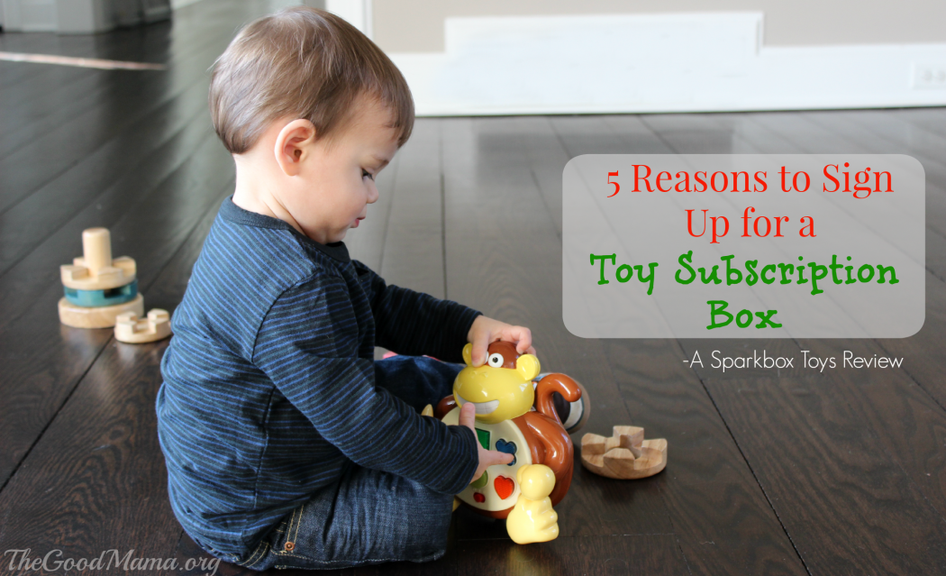 developmental toys subscription box