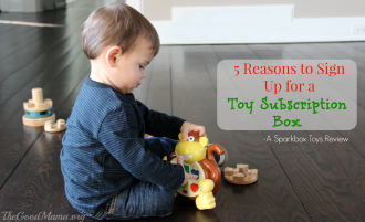 5 Reasons to Sign Up for a Toy Subscription Box- a Sparkbox Toy Review