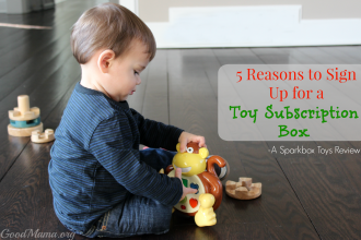 5 Reasons to Sign Up for a Toy Subscription Box- a Sparkbox Toy Review