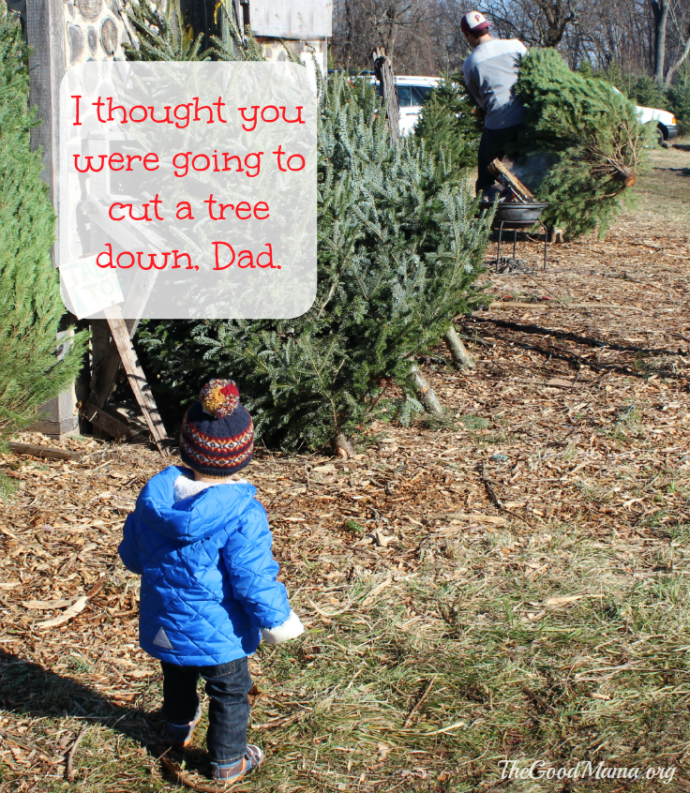 What NOT to do when Cutting your own Christmas Tree The Good Mama