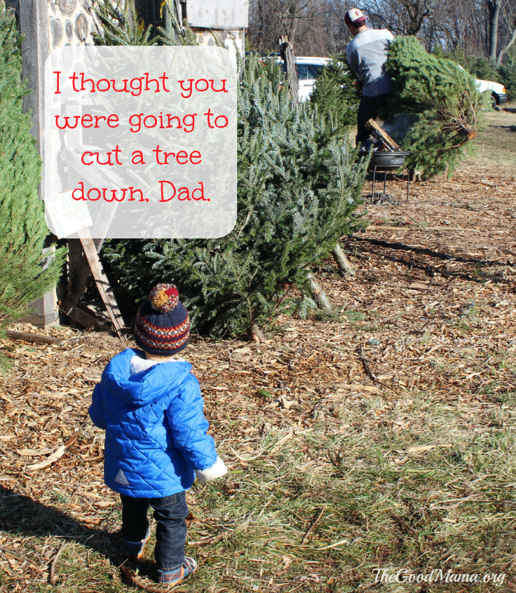 What NOT to do when cutting your own Christmas tree