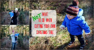 What NOT to do when cutting your own Christmas Tree