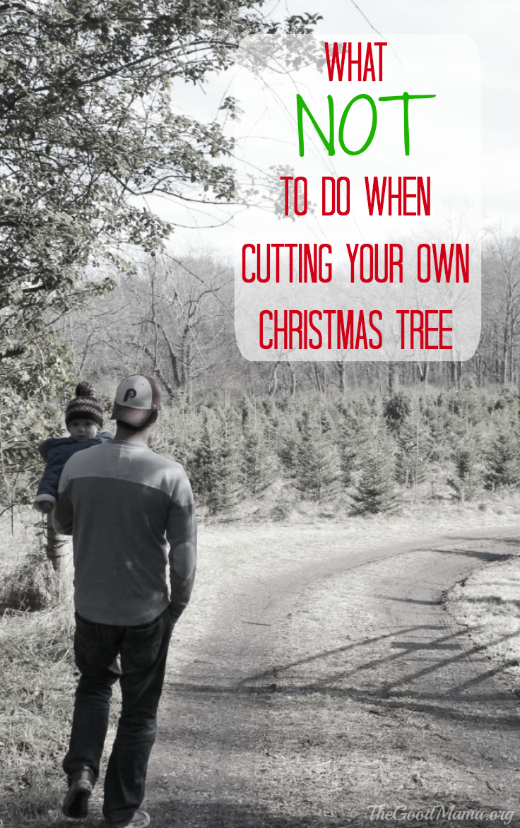 What NOT to do when Cutting your own Christmas Tree