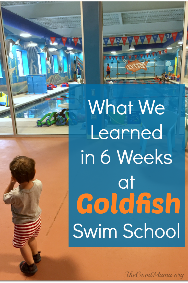 What We Learned in 6 Weeks at Goldfish Swim School
