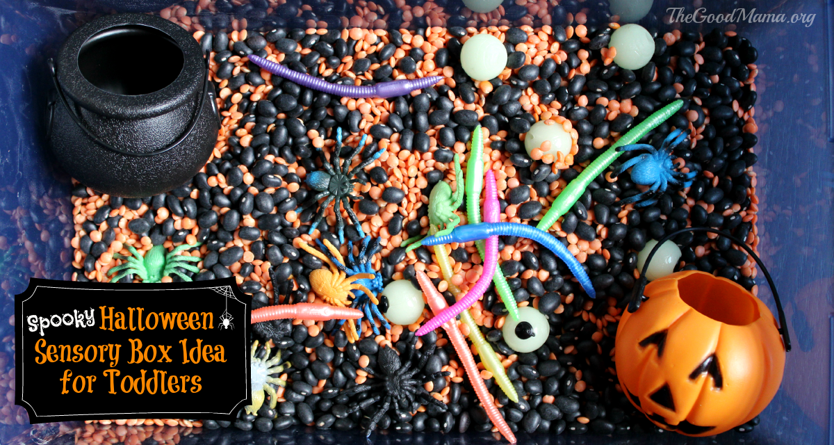 Spooky Halloween Sensory Box for Toddlers The Good Mama