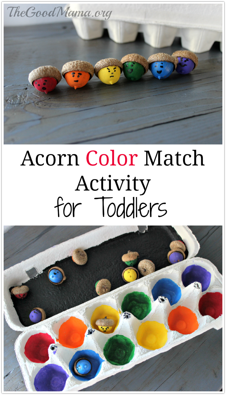 Acorn Color Match Activity for Toddlers
