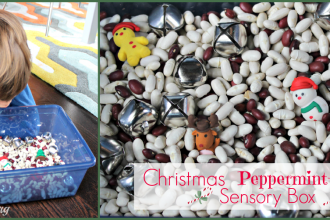 Christmas Peppermint-Scented Sensory box for Toddlers