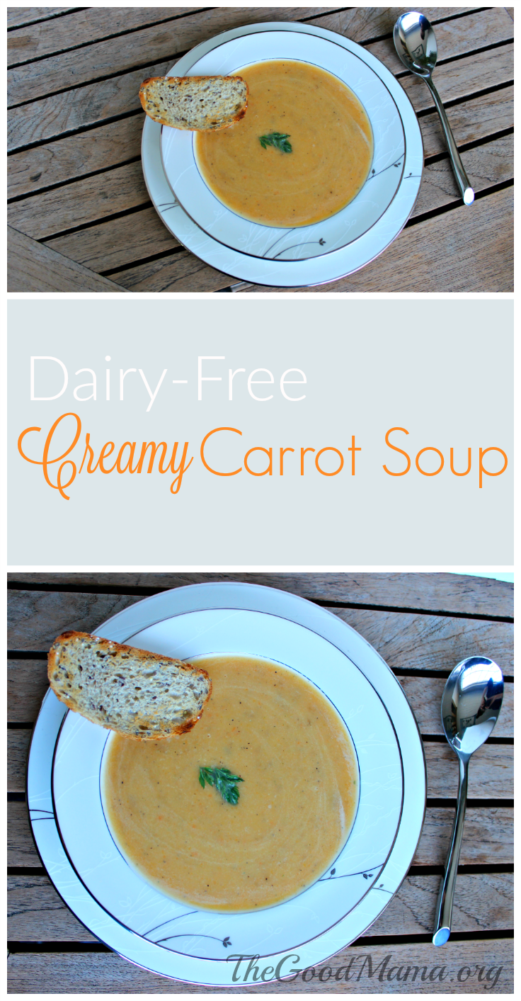 Dairy-Free Creamy Carrot Soup Recipe
