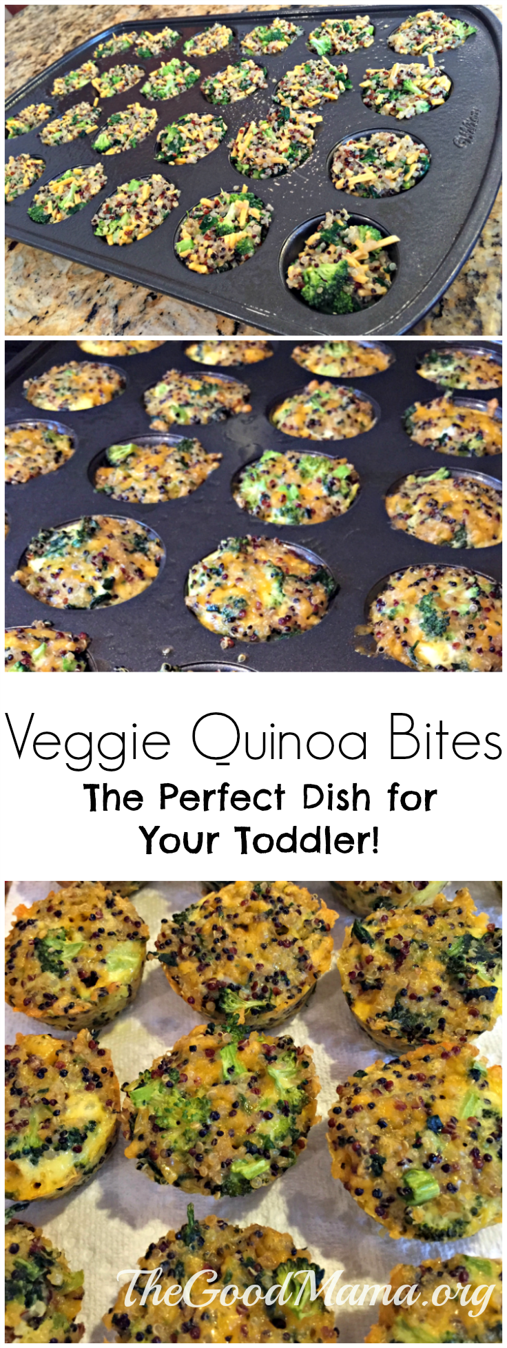 Veggie Quinoa Bites Recipe: Perfect Dish for your toddler! 