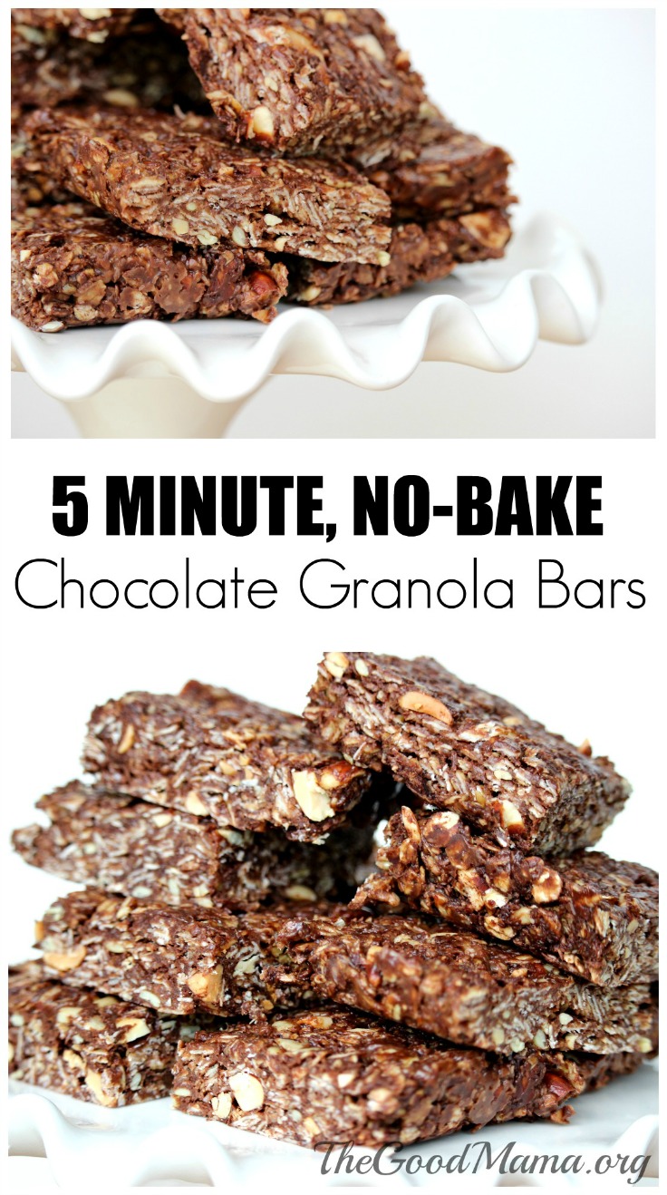 5 Minute No Bake Chocolate Granola Bars Recipe- SO much healthier than the store bought version