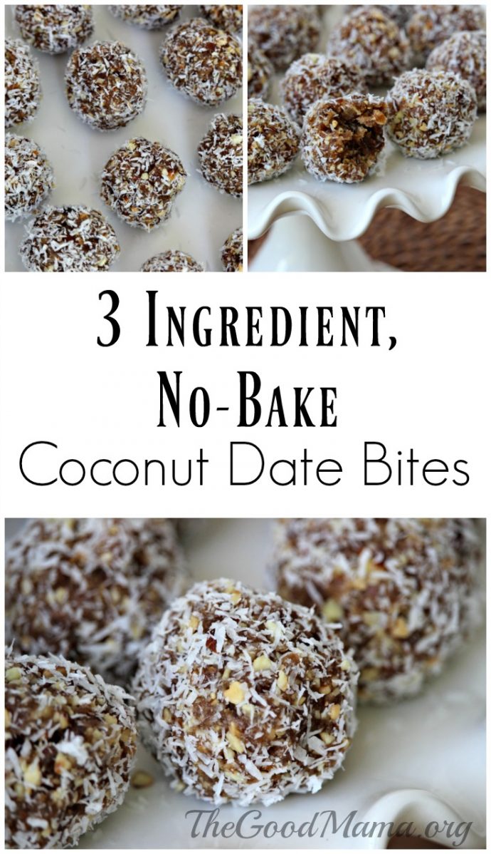 3 Ingredient NoBake Coconut Date Bites Recipe The Good Mama